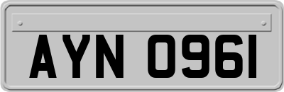 AYN0961