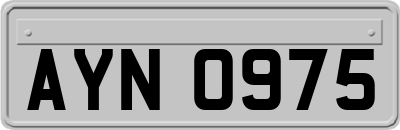 AYN0975