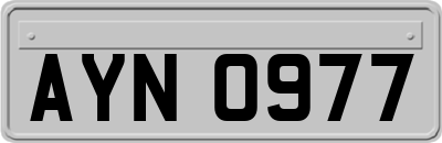 AYN0977