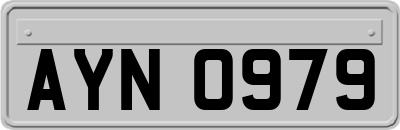 AYN0979