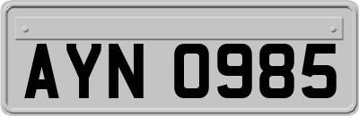 AYN0985