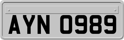 AYN0989