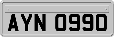 AYN0990