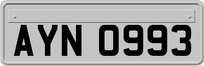 AYN0993
