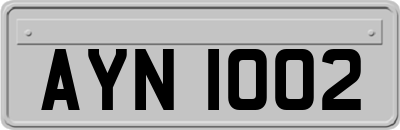 AYN1002