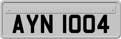 AYN1004