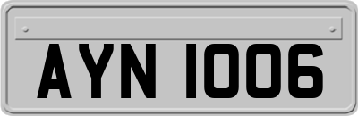 AYN1006