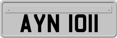 AYN1011