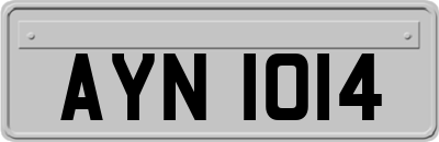 AYN1014