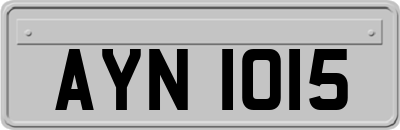AYN1015