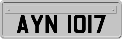AYN1017