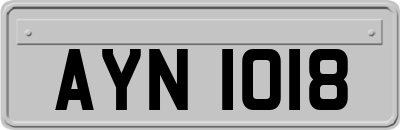 AYN1018