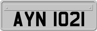 AYN1021