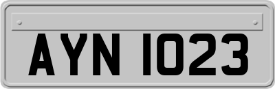 AYN1023