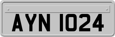 AYN1024