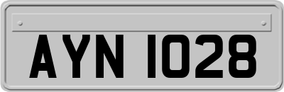 AYN1028