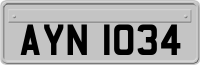 AYN1034