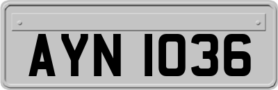 AYN1036