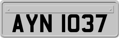 AYN1037