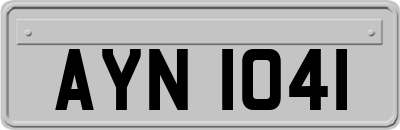 AYN1041