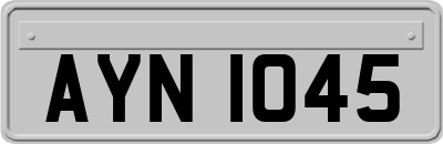 AYN1045