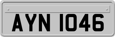 AYN1046