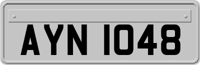 AYN1048