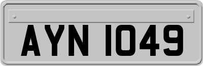 AYN1049
