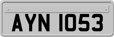 AYN1053