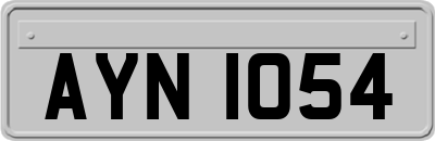 AYN1054