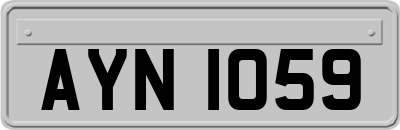 AYN1059