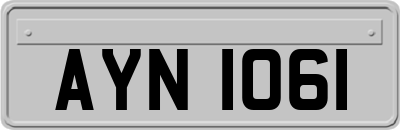 AYN1061