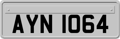 AYN1064