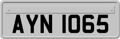 AYN1065