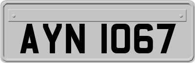 AYN1067