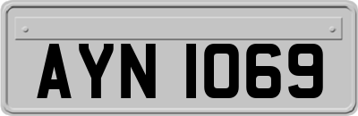 AYN1069