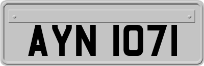 AYN1071