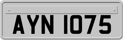 AYN1075