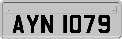 AYN1079