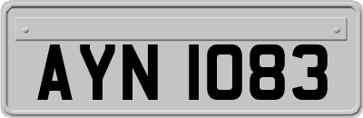 AYN1083