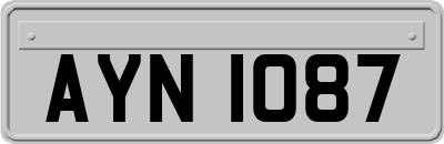 AYN1087