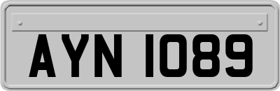 AYN1089