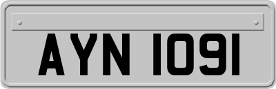 AYN1091