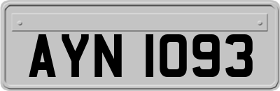AYN1093