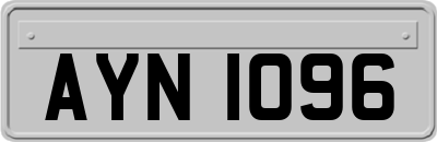 AYN1096
