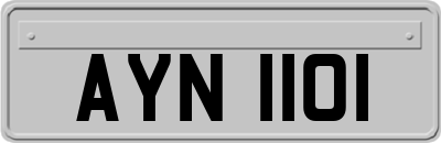 AYN1101