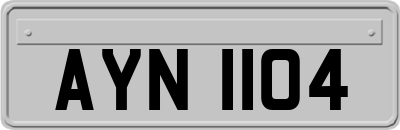 AYN1104