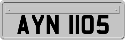 AYN1105
