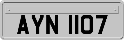 AYN1107