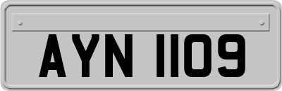 AYN1109